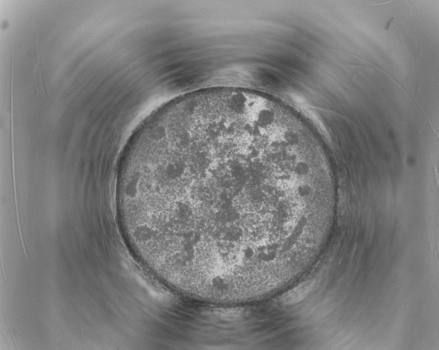 X0000088071035200706011508