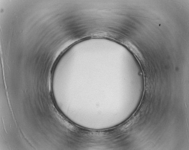 X0000088071036200706011508