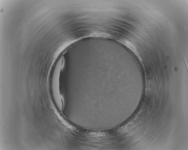 X0000088071037200706011508