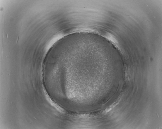 X0000088071038200706011508