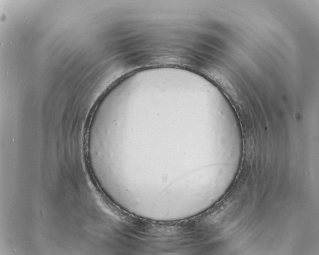 X0000088071039200706011508