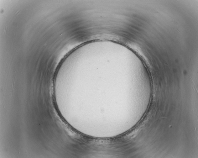 X0000088071040200706011508