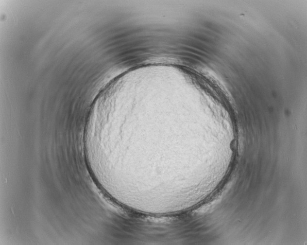 X0000088071041200706011508