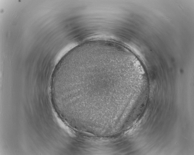 X0000088071042200706011508