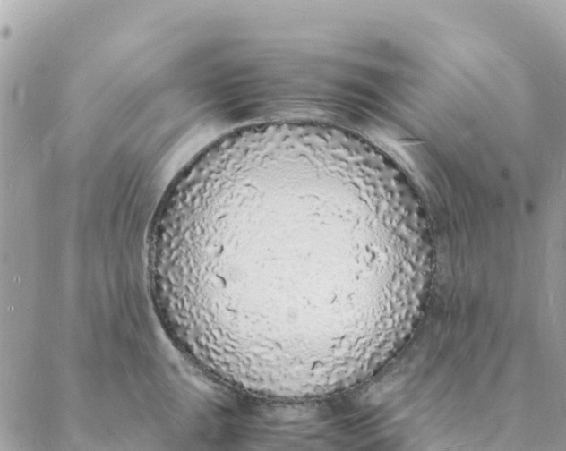 X0000088071047200706011509