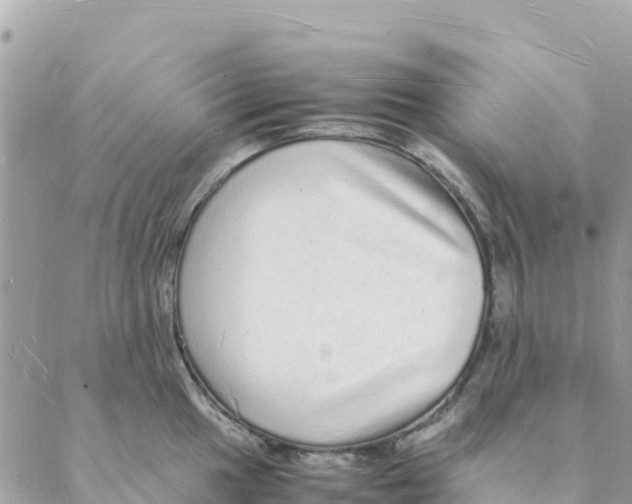 X0000088071049200706011509