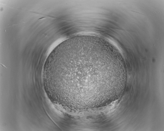 X0000088071050200706011509