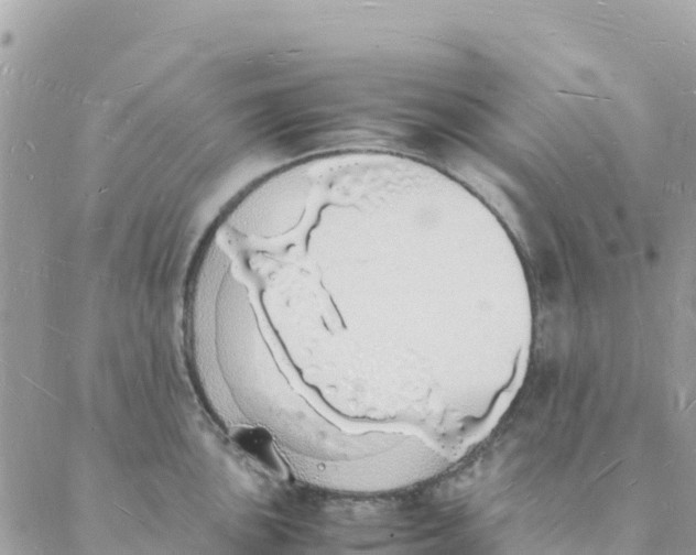 X0000088071051200706011509