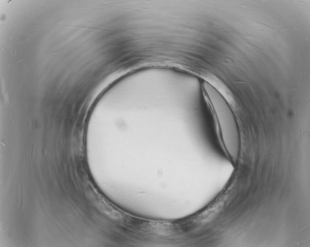 X0000088071052200706011509