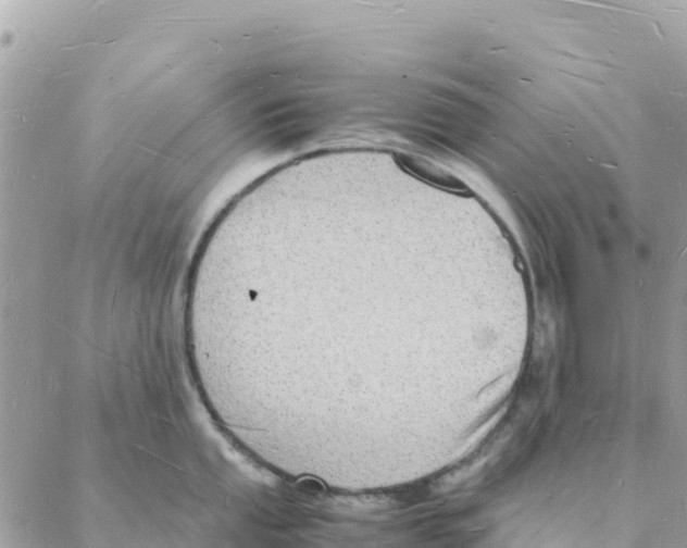 X0000088071053200706011509