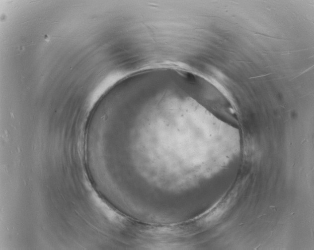 X0000088071054200706011509