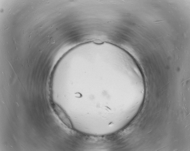 X0000088071056200706011509