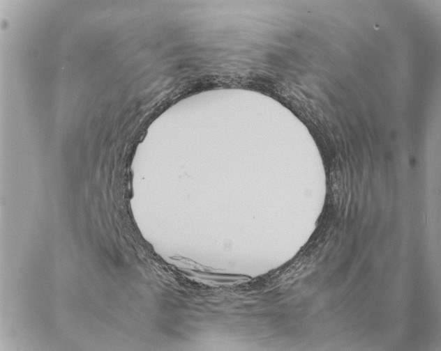 X0000088071057200706011508