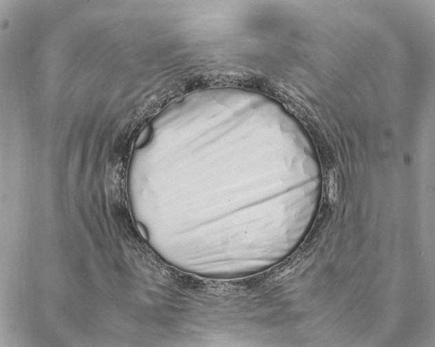 X0000088071059200706011508