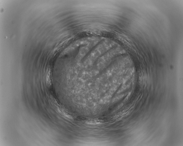 X0000088071060200706011508