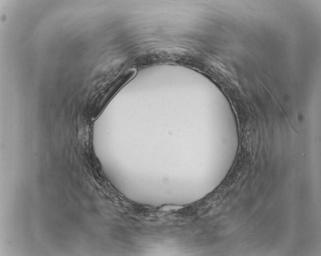 X0000088071061200706011508