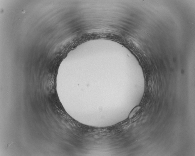 X0000088071062200706011508