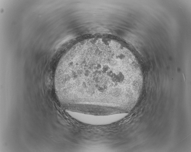 X0000088071063200706011508