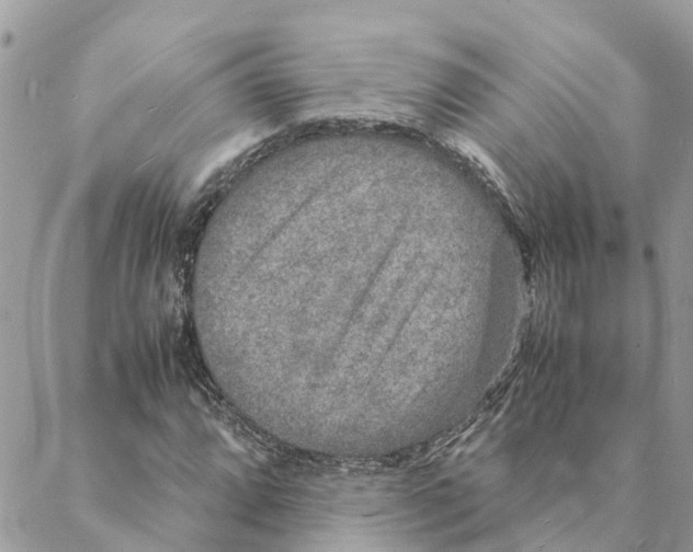 X0000088071064200706011508