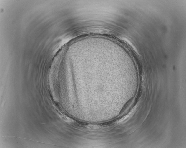 X0000088071065200706011508