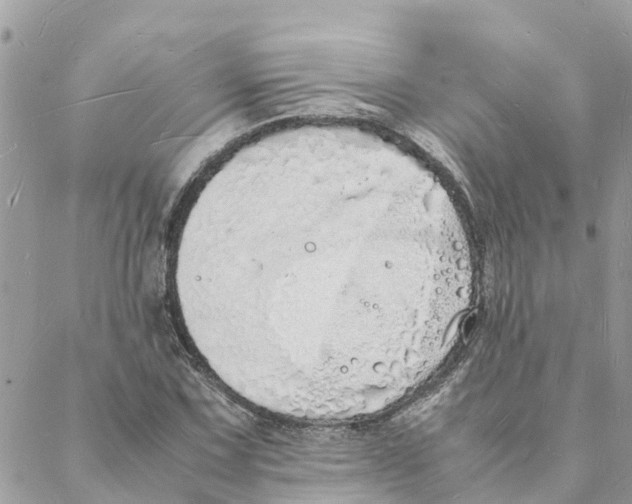 X0000088071067200706011508