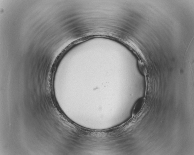 X0000088071068200706011508