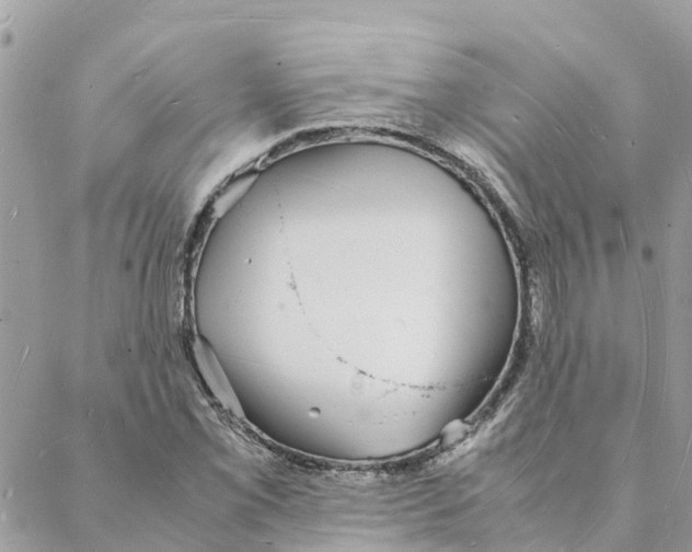 X0000088071069200706011508