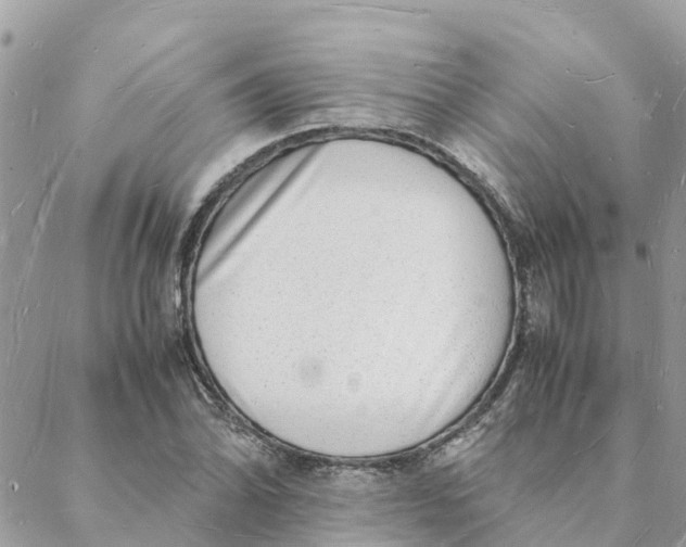 X0000088071070200706011508