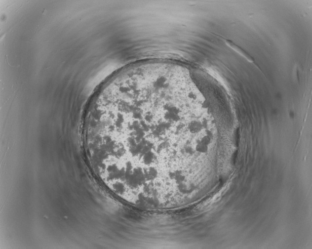 X0000088071071200706011508