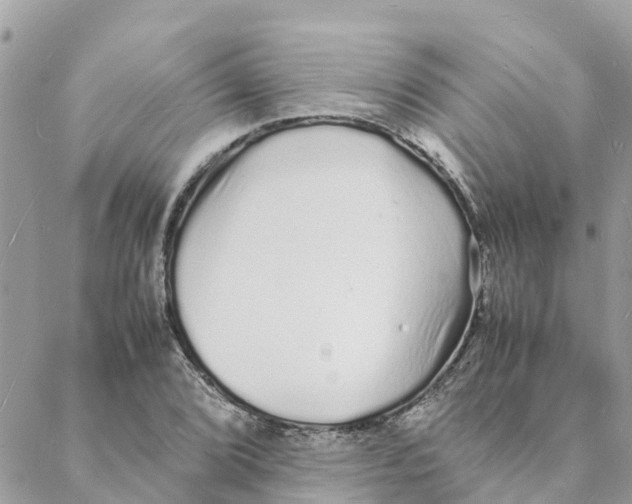 X0000088071072200706011508