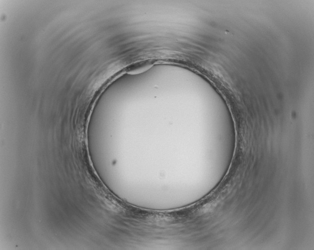 X0000088071073200706011508