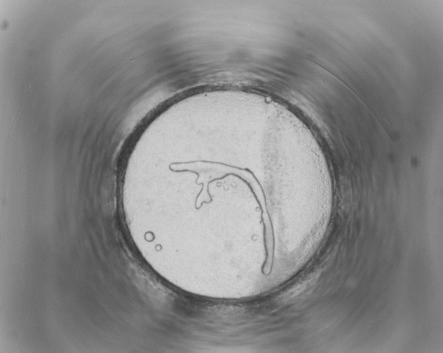 X0000088071075200706011508