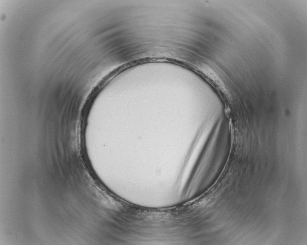 X0000088071076200706011508