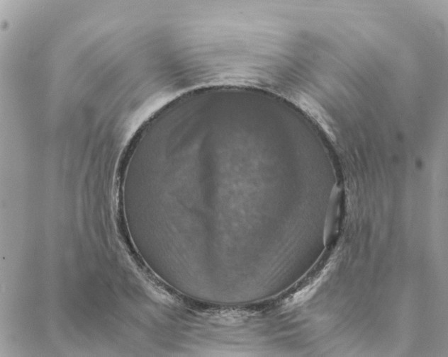 X0000088071077200706011508