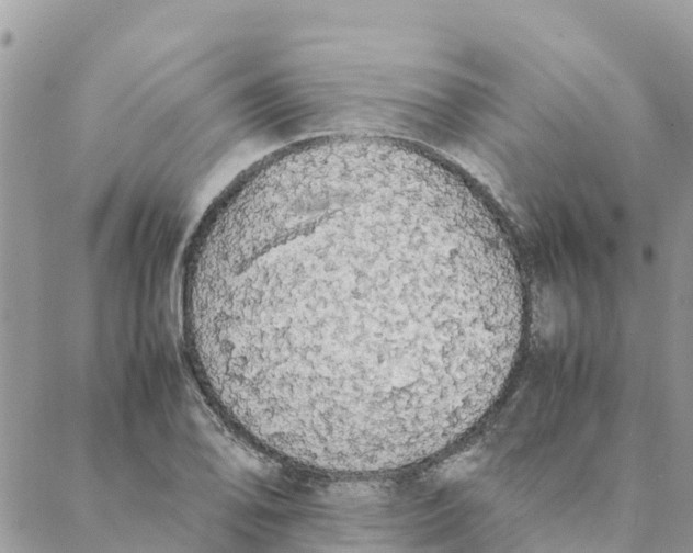 X0000088071078200706011508