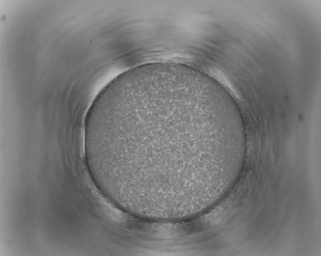 X0000088071079200706011508