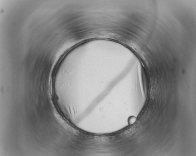 X0000088071080200706011508