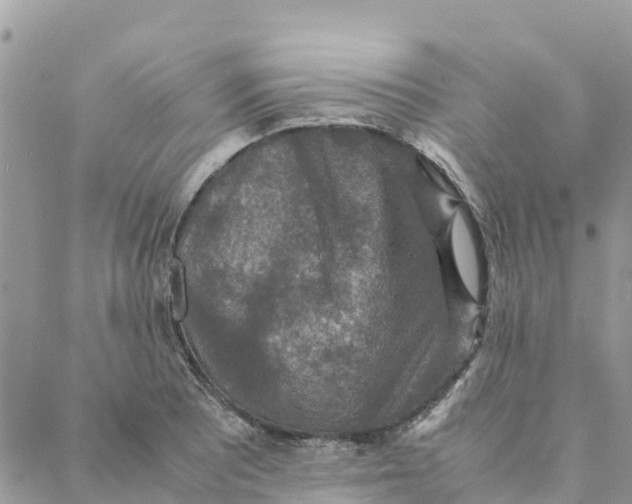 X0000088071081200706011508