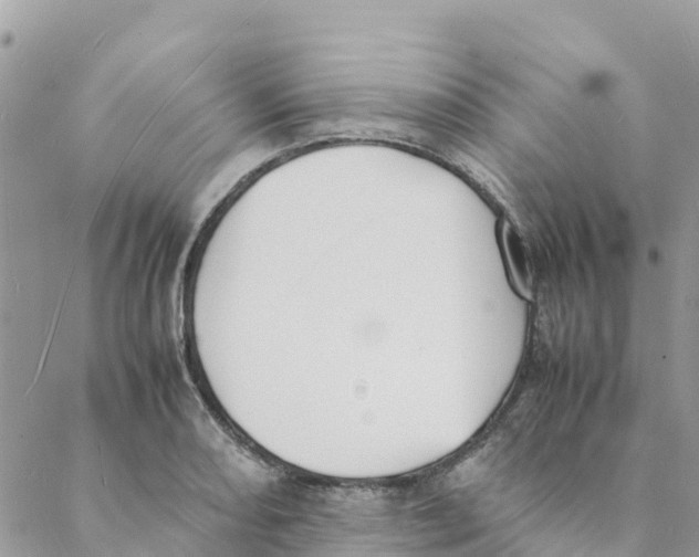 X0000088071082200706011508