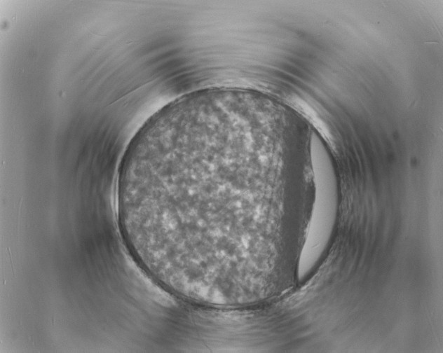 X0000088071084200706011507