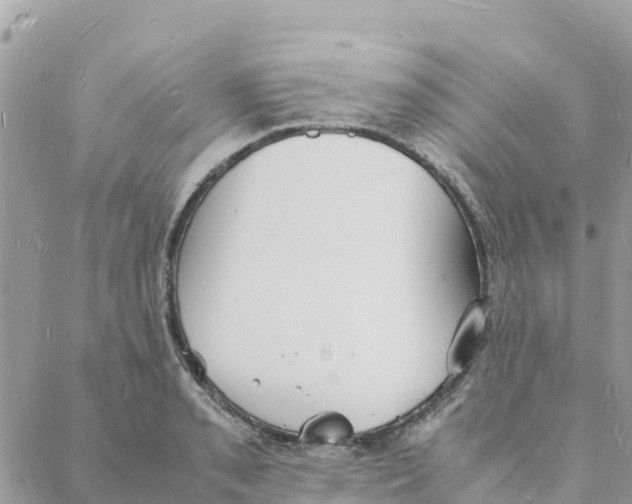 X0000088071085200706011507