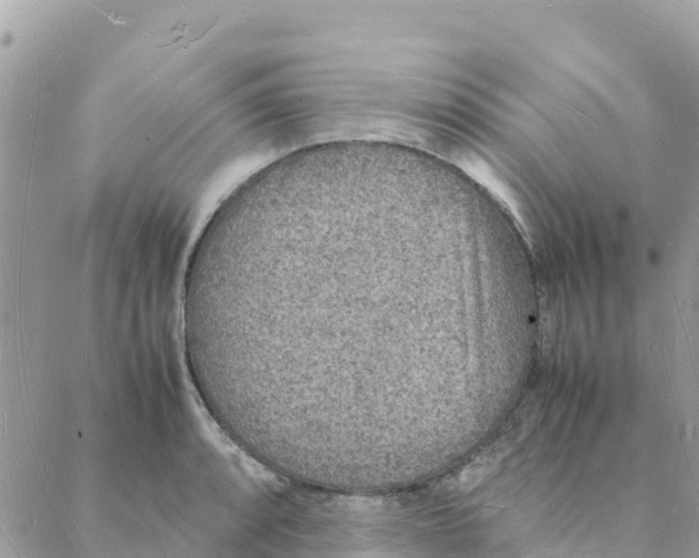 X0000088071088200706011507