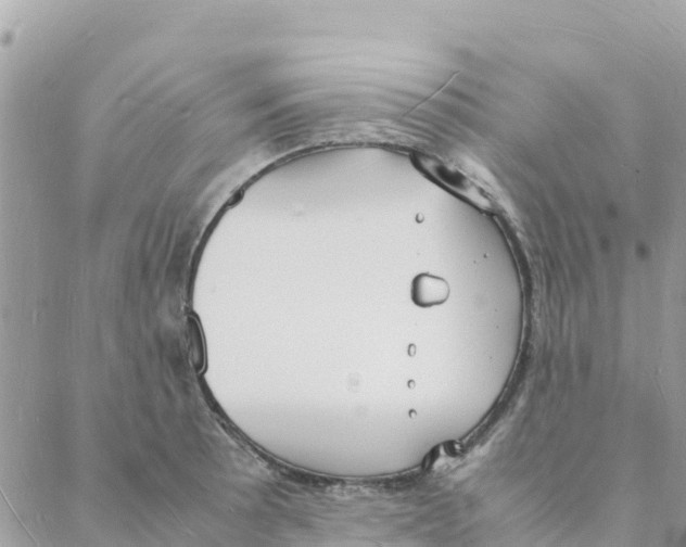 X0000088071089200706011507