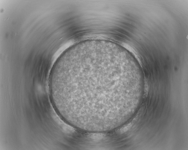 X0000088071090200706011507