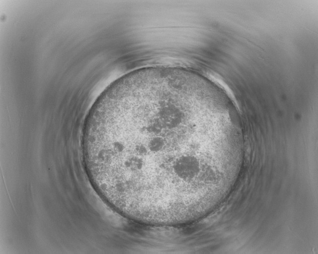 X0000088071091200706011507