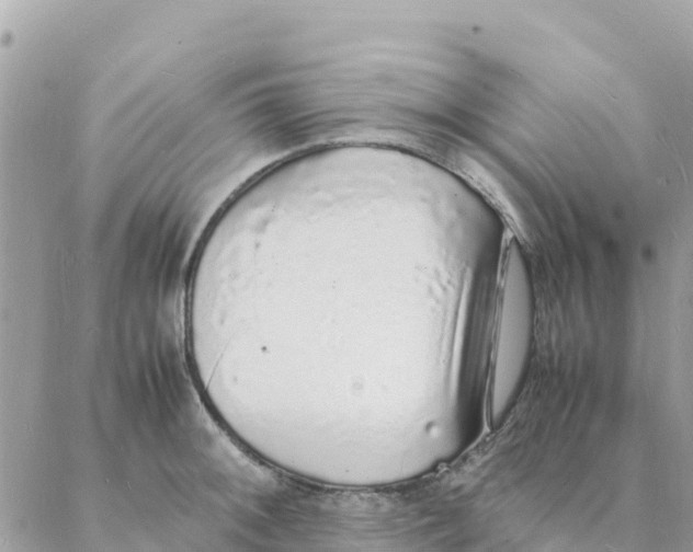 X0000088071092200706011507