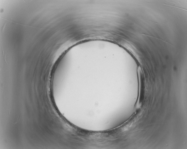 X0000088071093200706011507