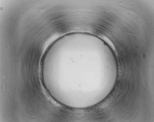 X0000088071096200706011507