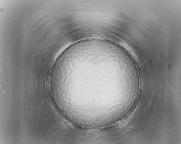 X0000088071097200706011507