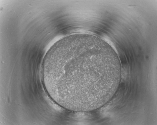 X0000088071098200706011507